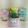 Cachepô Bosque Candy Color - Tag Cartão - Centro de Mesa - Juta e Tecido - Tag Personalizada