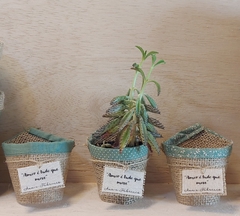 Rótulo Cachepô de Juta - Estampas Verde Menta - Juta & Tecido