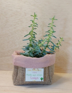 Cachepô Menina da Polinésia - Lembrancinha de Aniversário - Tag Personalizada - Juta & Tecido - comprar online
