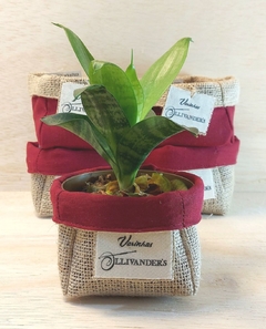 Cachepô Plante Amor - Lembrancinha de Aniversário - Tag Personalizada - Juta & Tecido - loja online