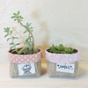 Cachepô Sweet Home - Rosé - Tag Personalizada - Juta & Tecido