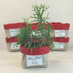 Cachepô Verde Pinheiro Árvore de Desejos - Brinde Natalino - Tag Personalizada - comprar online