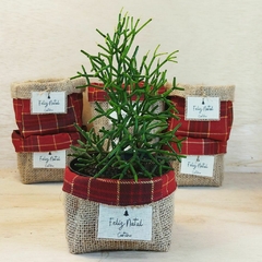 Cachepô Natal Sua Marca - Brinde Natalino - Tag Personalizada