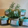 Cachepô Bosque Cogumelo Verde Menta - Centro de Mesa - Juta e Tecido - Tag Personalizada