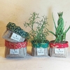 Cachepô Anjos e Arabescos - Brinde Natalino - Tag Personalizada