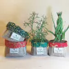 Cachepô Anjos e Arabescos - Brinde Natalino - Tag Personalizada