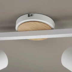 Imagen de Aplique 2l Negro/Blanco Con Detalle Madera Apto Baño Para Dicroled