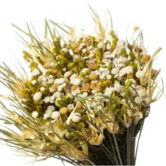 Arranjo de Flores Desidratas — Lolla - comprar online
