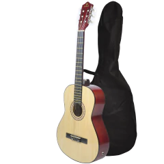 Guitarra Electro Criolla Clasica Eagle 39 Funda Pua Curso en internet