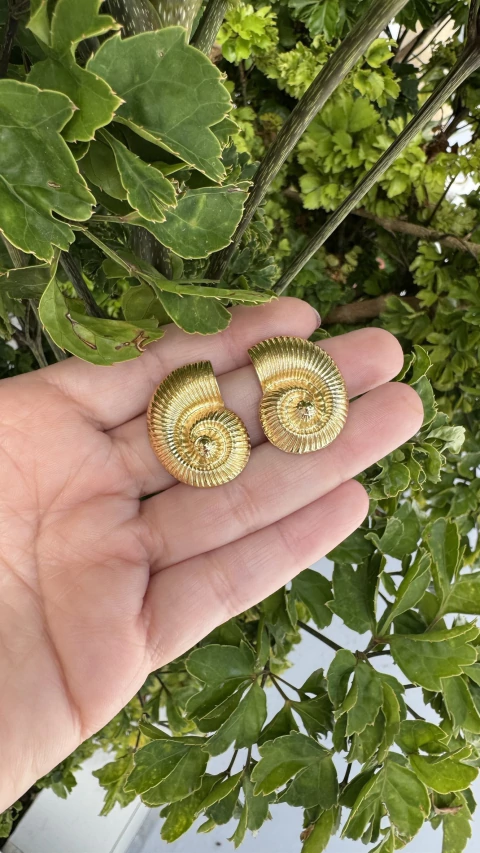 Brinco Concha-MBB1389