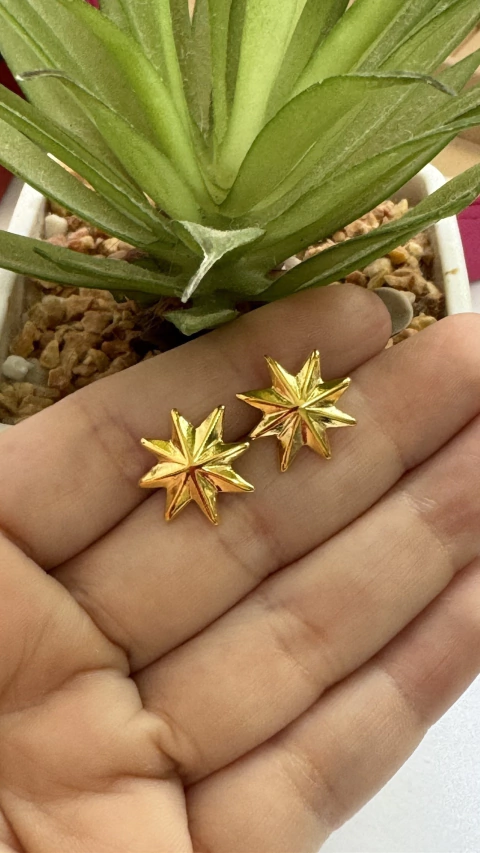 Brinco Estrela do Mar-MBB1382