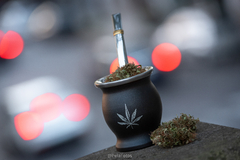 Mate + Bombilla 4:20 PelaGatxs - PelaGatos