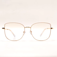 95816 C6 en internet