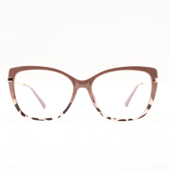 95829 C6 en internet