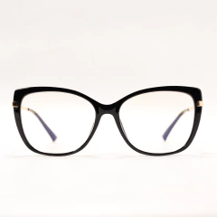 95829 C4 en internet