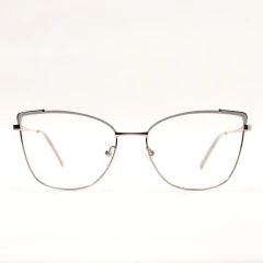 B23108 C4 en internet