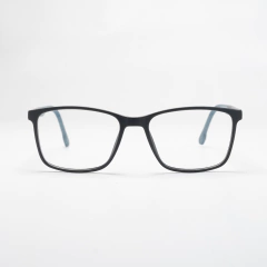 FB06-10 C1G en internet