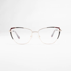 XJ0012 C4 en internet