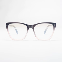 TR-P5017 C1 en internet