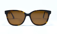 GS 5031 C2 POLARIZADO - comprar online