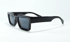 SPP10 GRIS POLARIZADO en internet