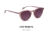 Gafas de Sol Vulk 2 SHOTS POL - loja online