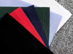 Camiseta Lacoste monocromática edição site - limitado - comprar online