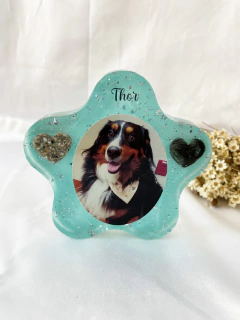 Eternização Estrela