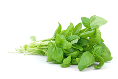 Albahaca 1 atado - agroecológico