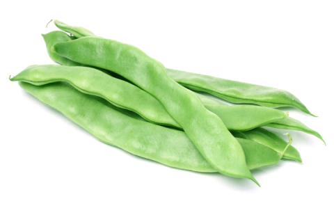 Chaucha redondita 400 grs - agroecológico