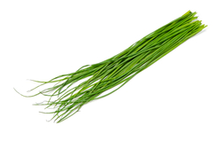Ciboulette 100 grs - agroecológico