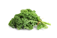 Kale rizado 200 grs - agroecológico