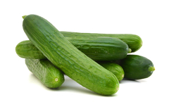 Pepino 500 grs - agroecológico