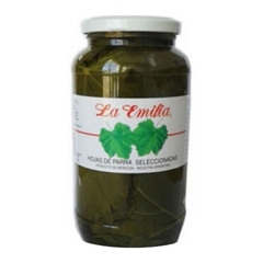 HOJA DE PARRA LA EMILIA