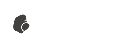 HOLSOM