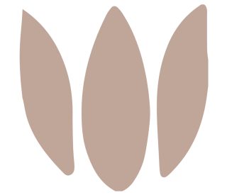 Flor de pilcha