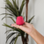 Sugador Bunita Flor - comprar online