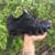Tenis Nike Shox TL 12 Molas - comprar online