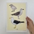 Print Gaivotão