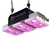 Kit Completo Indoor - Carpa Bellavita Lite 80x80 + Led Growtech 300w en internet