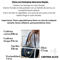 Imagen de Cartera Mini Bag Importada ALICE