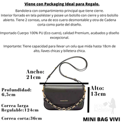 Cartera Mini Bag Importada VIVI