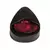 Porta Palheta D'addario - PW-PH-01 - comprar online