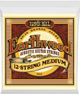 Encordoamento Violão Aço Ernie Ball Earthwood 12 cordas 011 (2012) - 12831