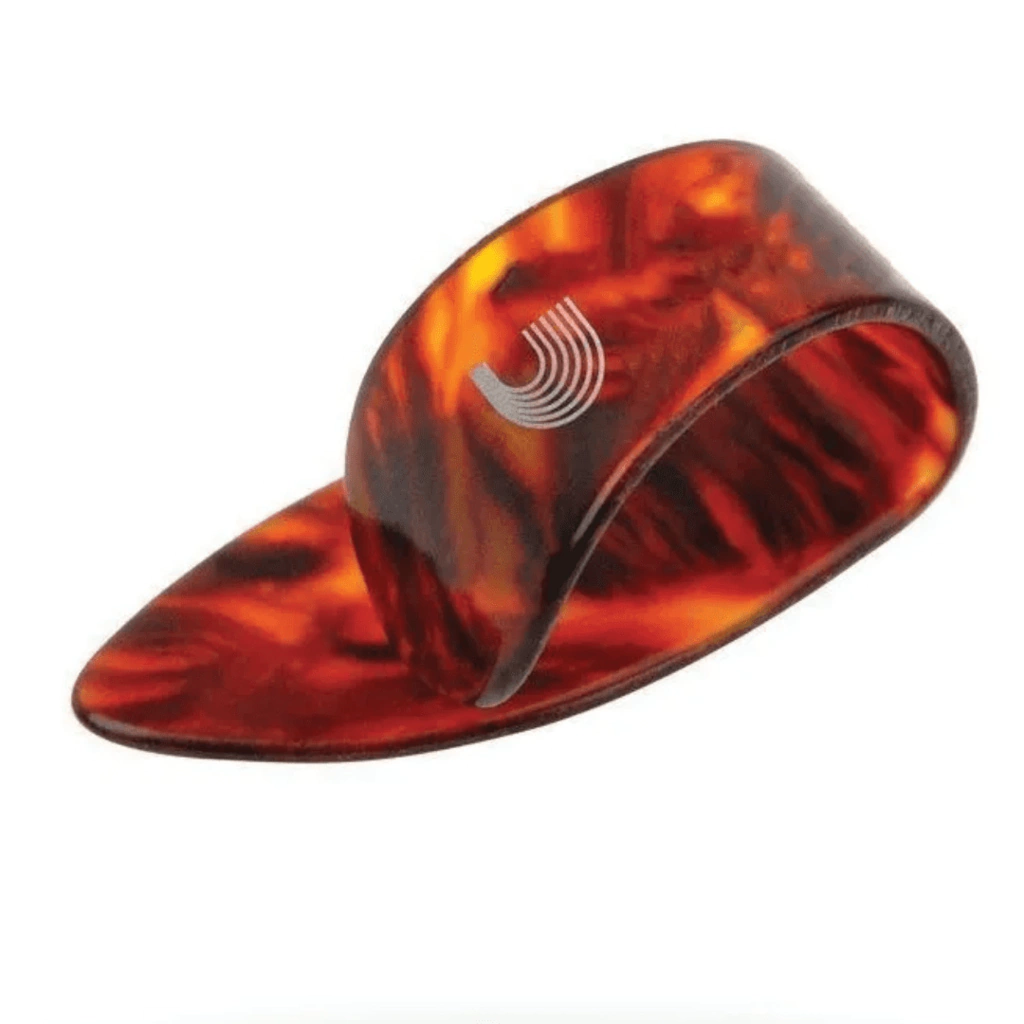 Dedeira Planet Wave Shell Large - 018442