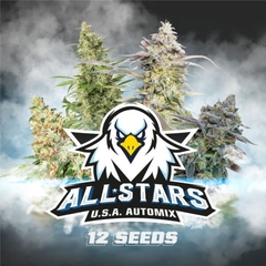 ALL STAR AUTOMIX