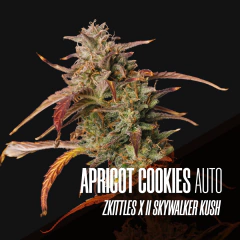 APRICOT COOKIES AUTO