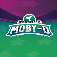 MOBY-D FOTO FEM - Join Us Growshop