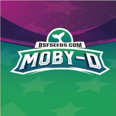MOBY-D FOTO FEM - Join Us Grow