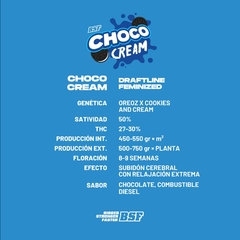 CHOCO CREAM FOTO FEM - comprar online